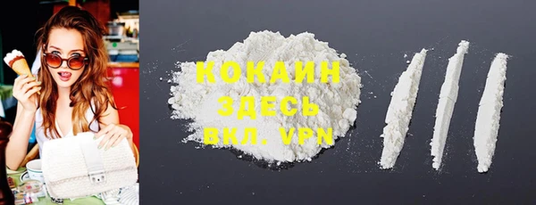 ГАЛЛЮЦИНОГЕННЫЕ ГРИБЫ Абаза