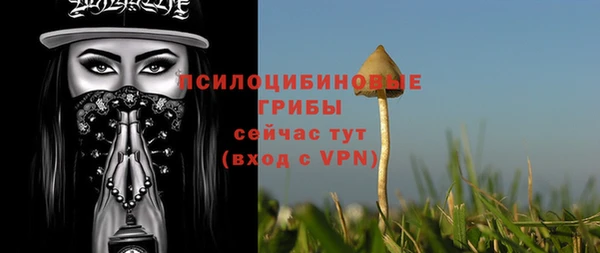 не бодяженный Абдулино