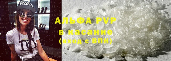 ГАЛЛЮЦИНОГЕННЫЕ ГРИБЫ Абаза